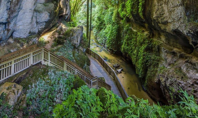 Mangapohue Natural Bridge- Marakopa Falls-Waitomo