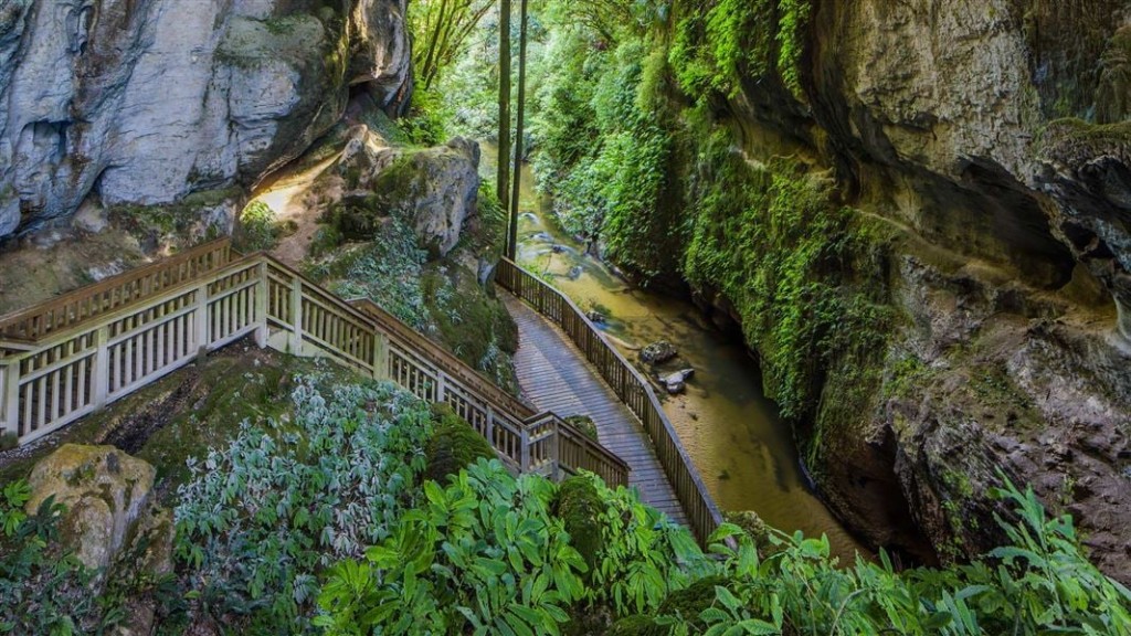 Mangapohue Natural Bridge- Marakopa Falls-Waitomo