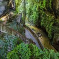 Mangapohue Natural Bridge- Marakopa Falls-Waitomo