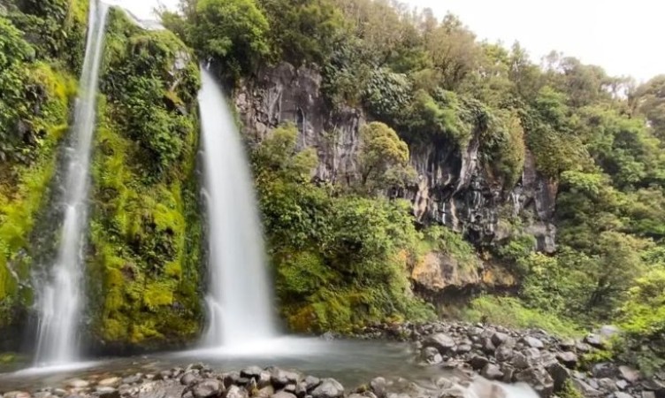 Dawson Falls-Mahoe