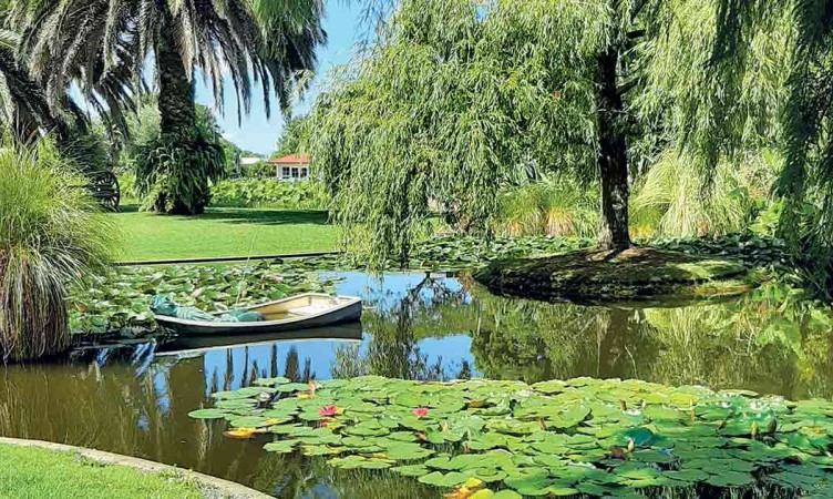 Ngatea Water Gardens