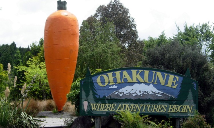 The Ohakune Giant Carrot