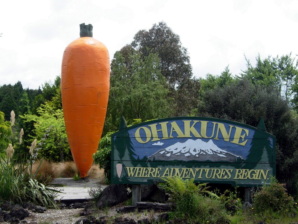 The Ohakune Giant Carrot