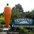 The Ohakune Giant Carrot