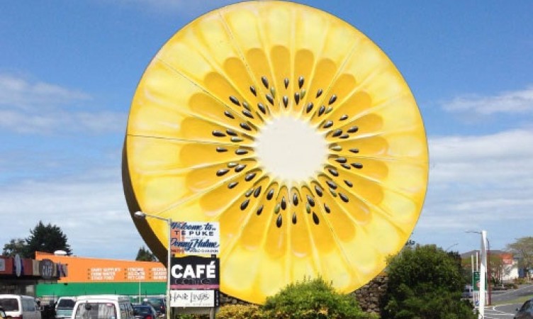 Te Puke Giant Kiwifruit Slice