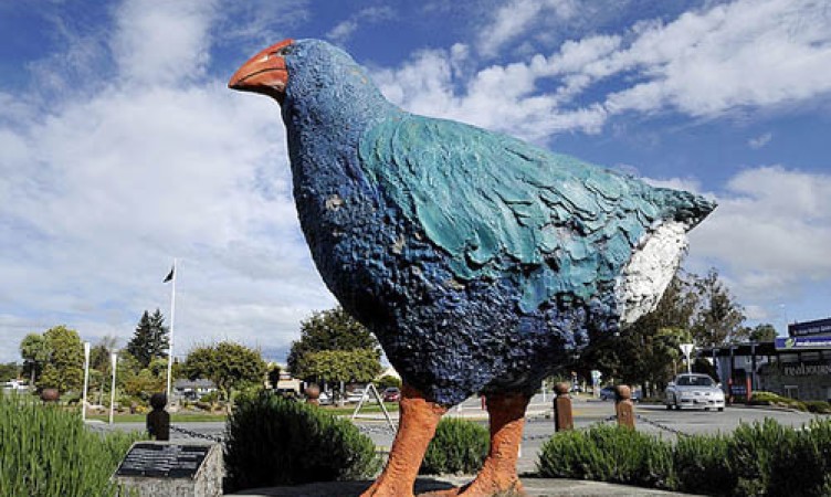 Te Anau Giant  Takahe