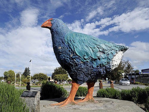 Te Anau Giant  Takahe