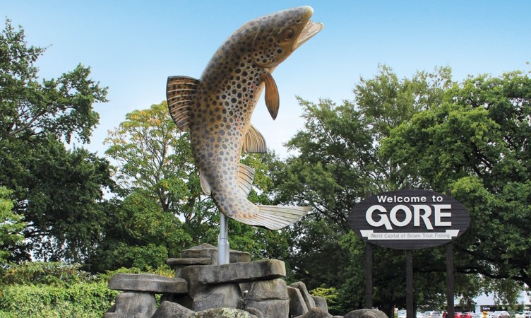 The Gore Giant Trout