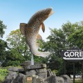 The Gore Giant Trout