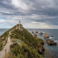 Nugget Point-Catlins