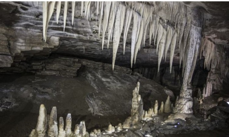 Charleston Glow Worm Caves