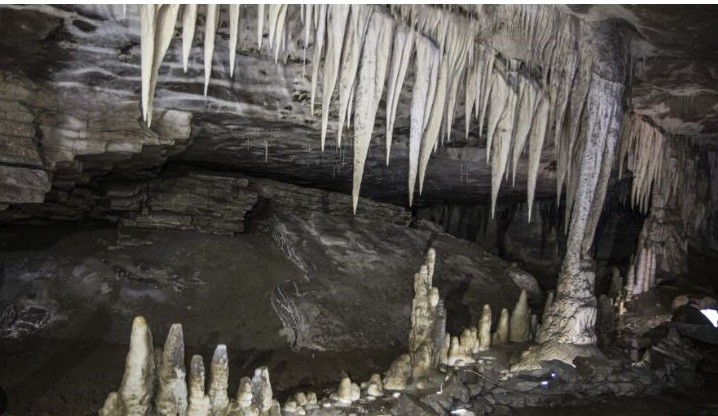 Charleston Glow Worm Caves