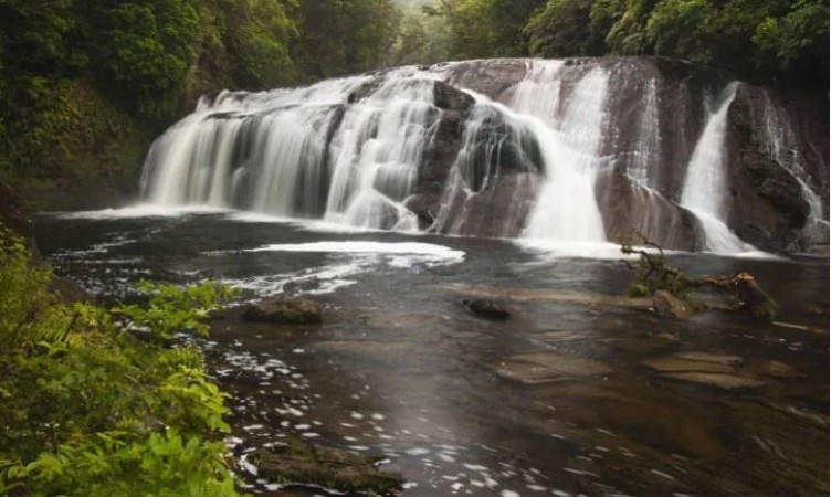 Coal Creek Falls-Greymouth