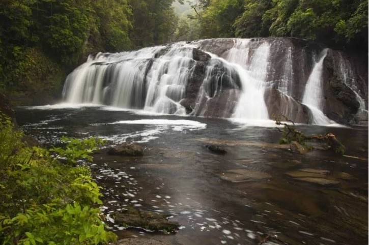 Coal Creek Falls-Greymouth