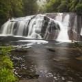 Coal Creek Falls-Greymouth