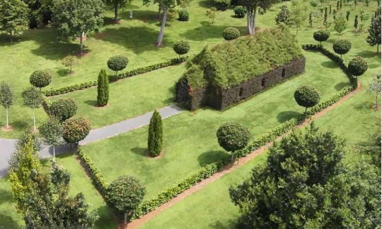 The Tree Church- Ohaupo