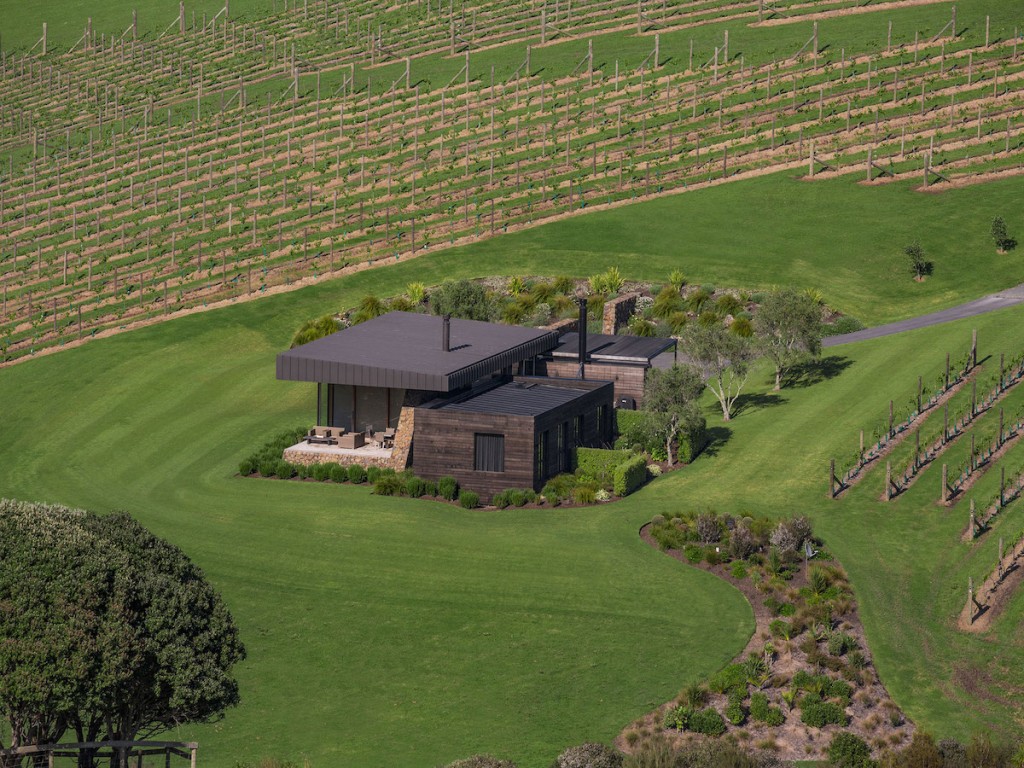 The Landing Vineyard- Bay of Islands