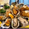 The Tipsy Oyster - Paihia