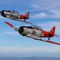 Warbirds and More