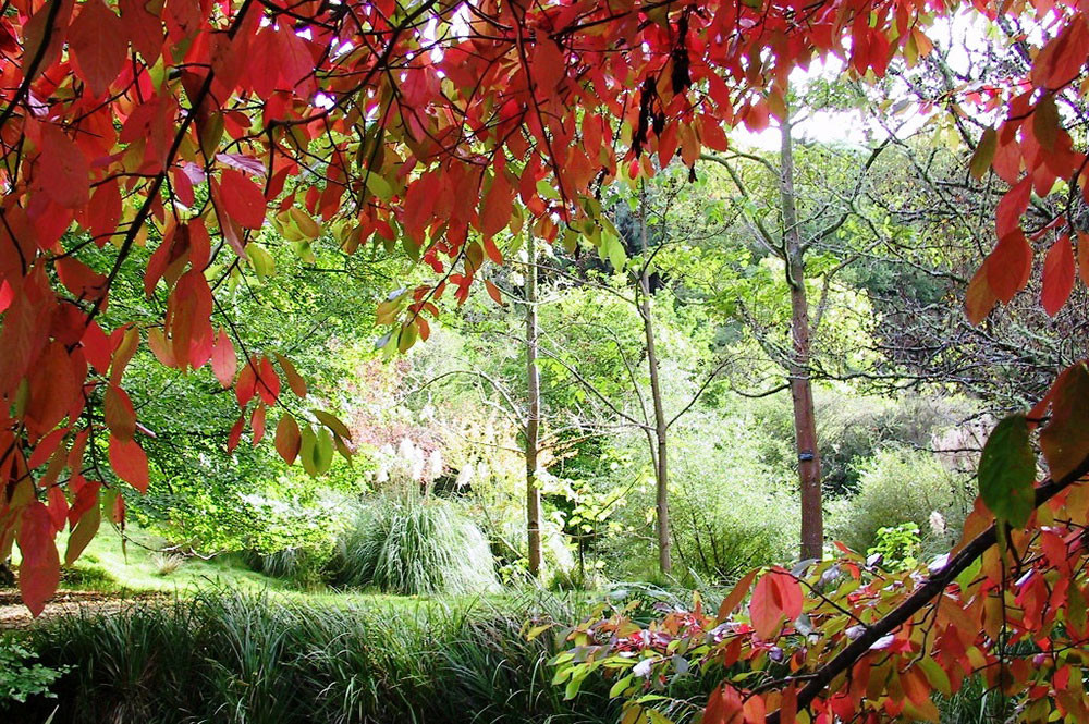 Eastwoodhill National Arboretum