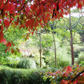 Eastwoodhill National Arboretum