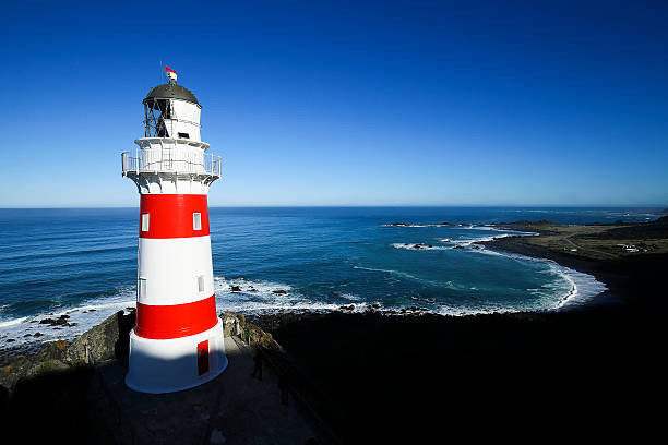 Cape Palliser Lighthouse and Seal Colony