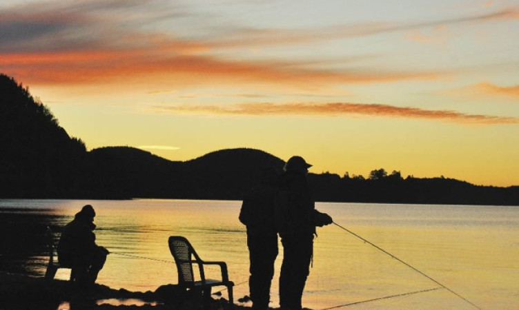 Trout Fishing Rotorua Region