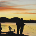 Trout Fishing Rotorua Region