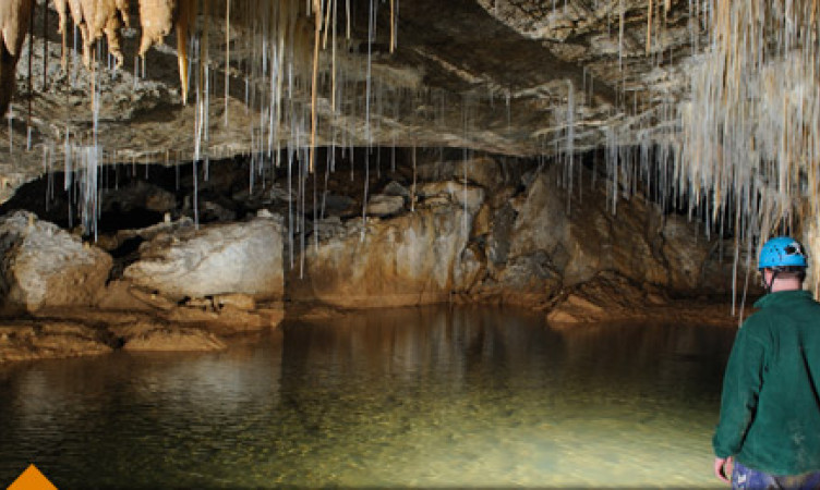 Waitomo Caves