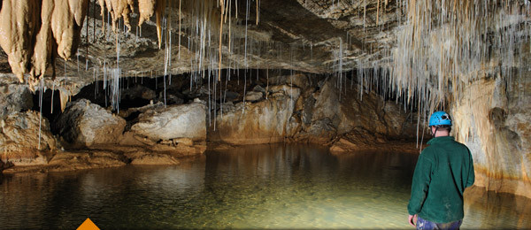 Waitomo Caves