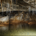 Waitomo Caves