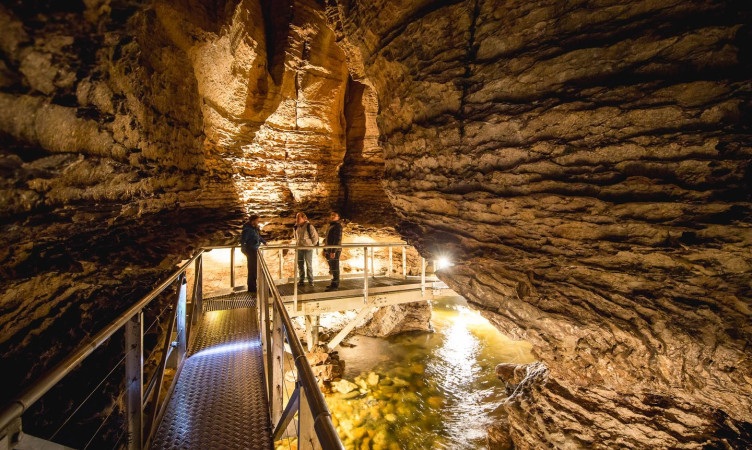 Te Anau Gloworm Caves