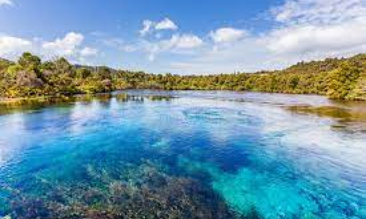 Te Waikoropupū Springs