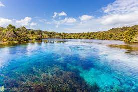 Te Waikoropupū Springs