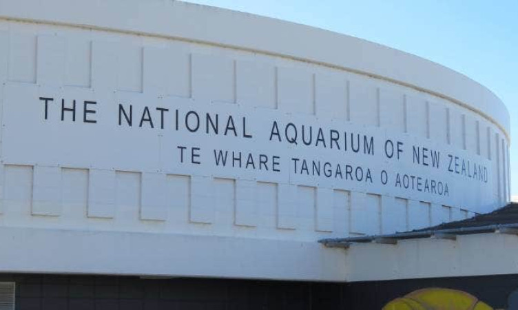 National Aquarium of New Zealand