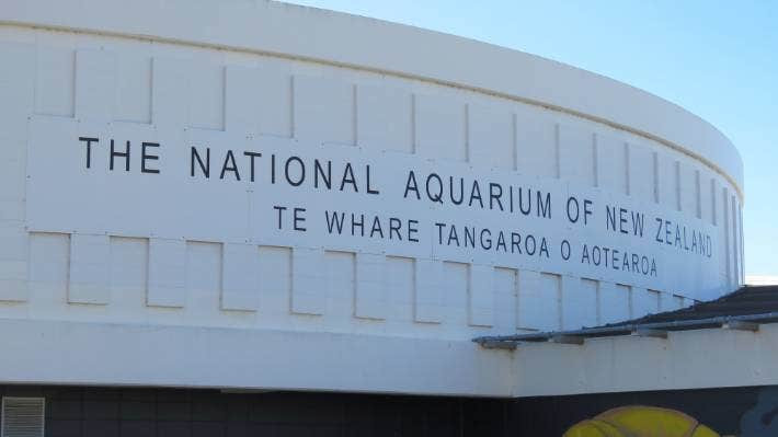 National Aquarium of New Zealand