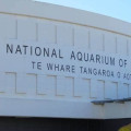 National Aquarium of New Zealand