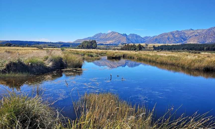 Rakatu Wetlands-Manapouri