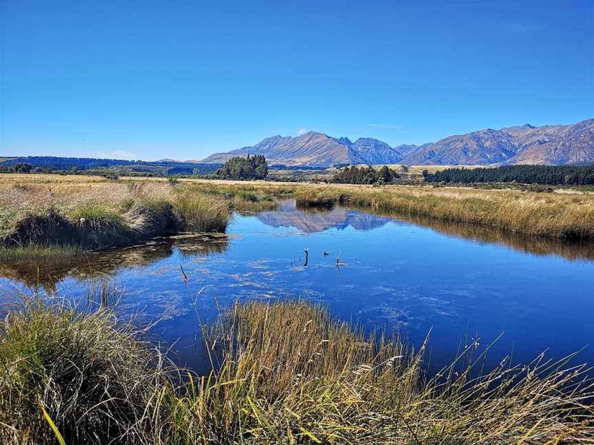 Rakatu Wetlands-Manapouri