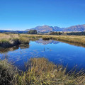 Rakatu Wetlands-Manapouri