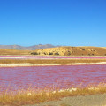 Lake Grassmere