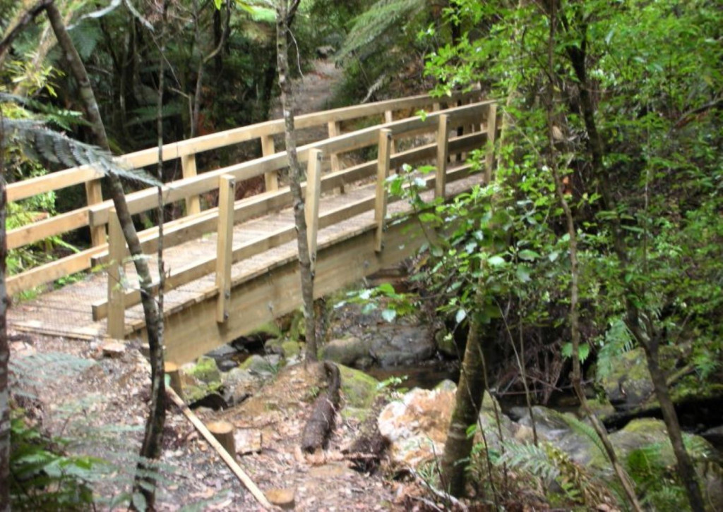 Waiomu Kauri Grove Walk