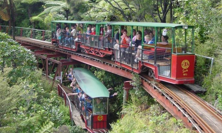 Driving Creek Railway