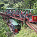 Driving Creek Railway