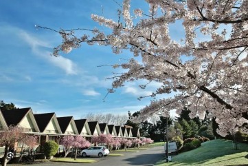 Ascot Park Motels